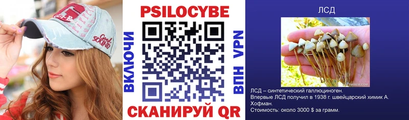 darknet как зайти  где продают   KRAKEN онион  Нахабино  Галлюциногенные грибы мухоморы 