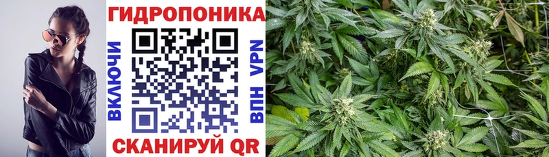 закладки Нахабино Конопля AK-47